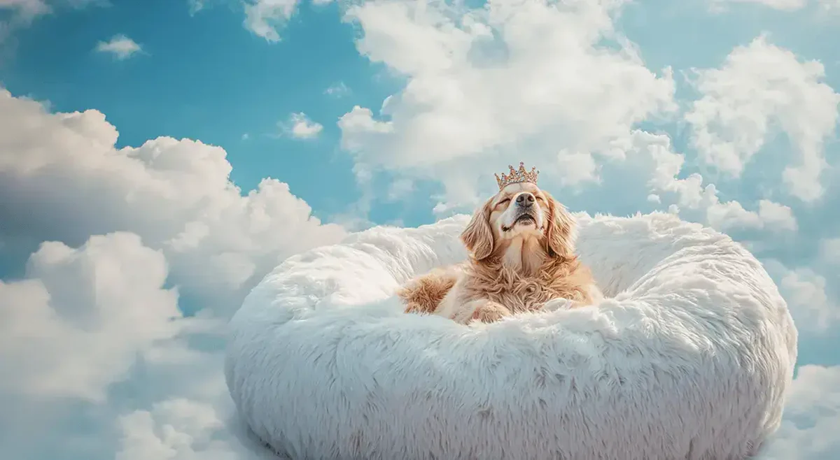 Join the Ultimate Fluffy Family