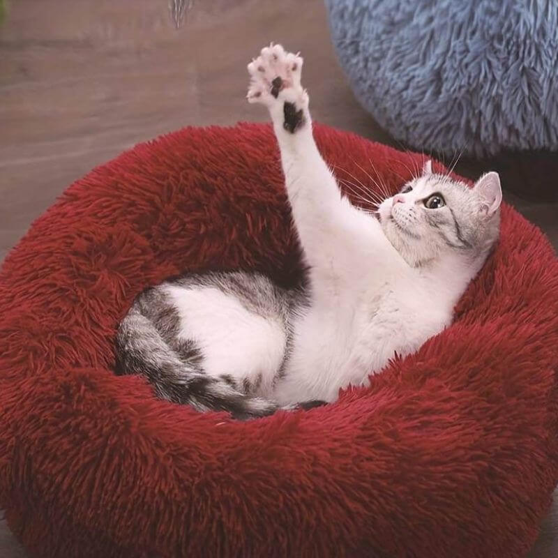 MrFluffyFriend™ - World's #1 Anxiety Relieving Cat Bed - Image 6