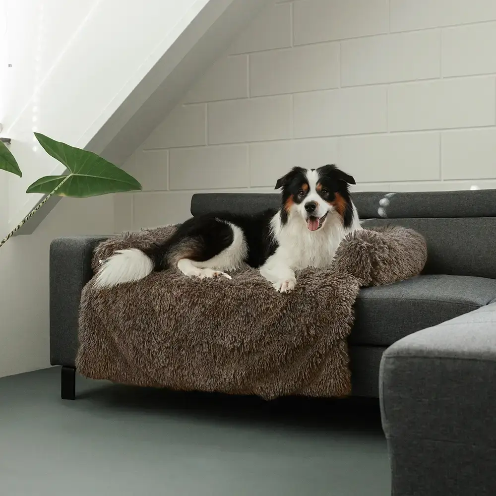 MrFluffyFriend™ - Fluffy Couch Cover for Dogs and Cats - Image 4