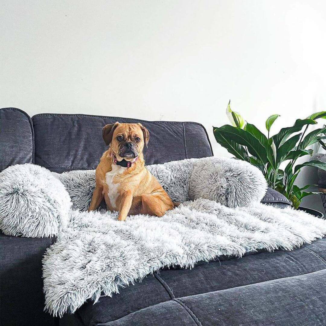 MrFluffyFriend™ - Fluffy Couch Cover for Dogs - Image 6