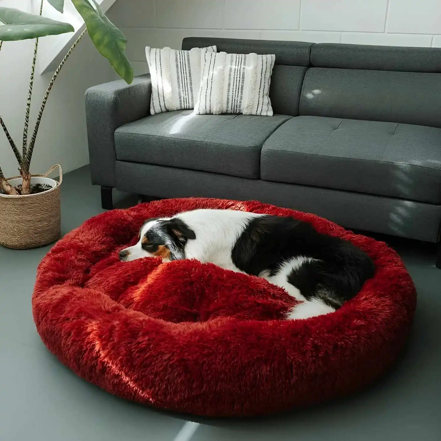MrFluffyFriend™ - World's #1 Anxiety Relieving Dog Bed - Image 6