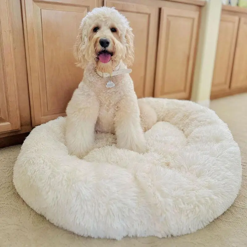 MrFluffyFriend™ - World's #1 Anxiety Relieving Dog Bed - Image 4