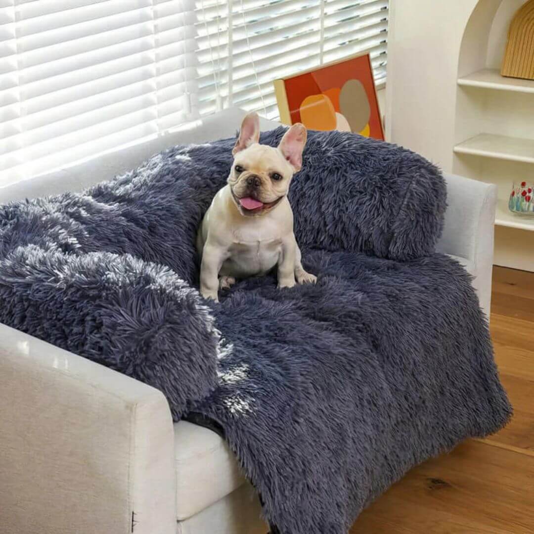 MrFluffyFriend™ - Fluffy Couch Cover for Dogs and Cats - Image 5