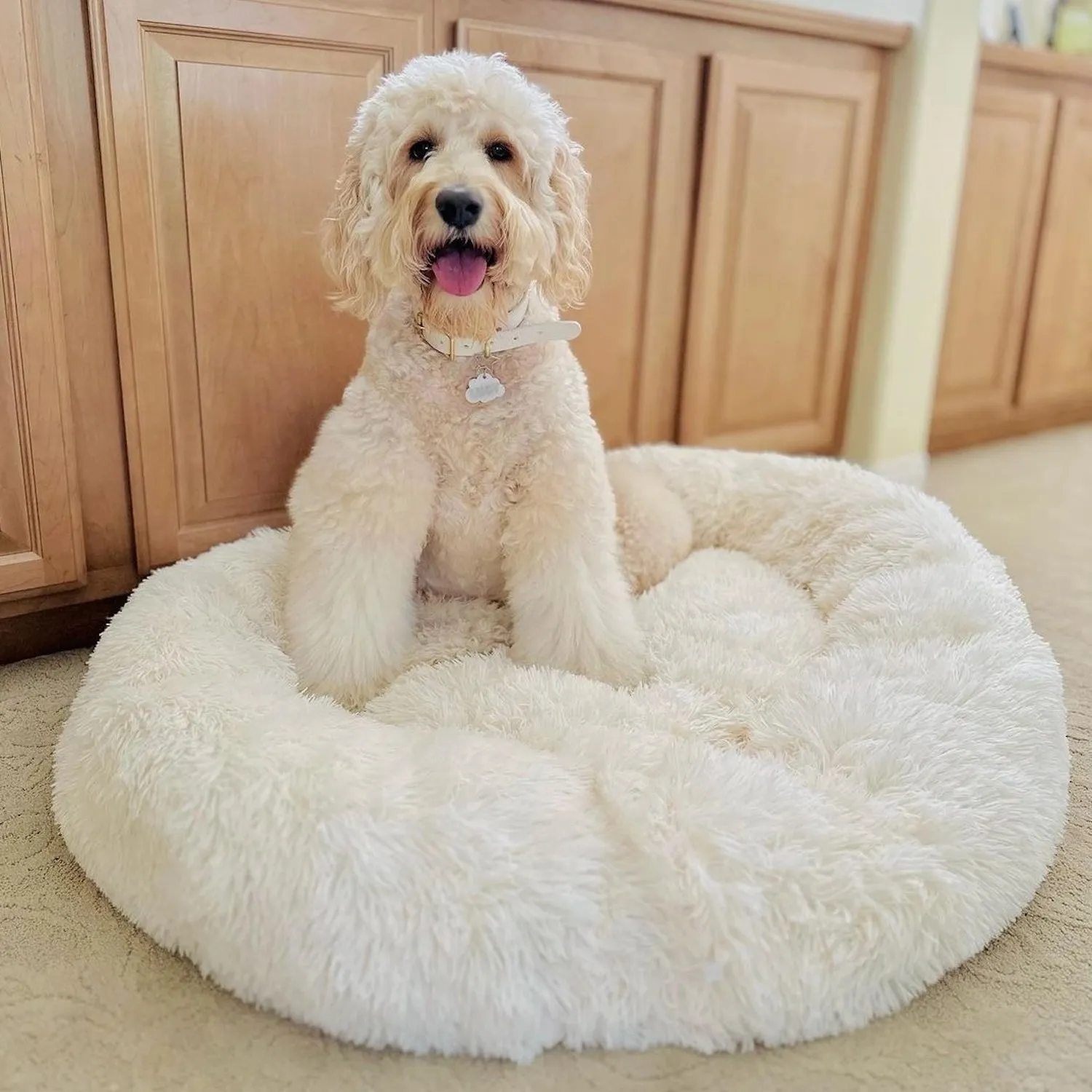 MrFluffyFriend™ - World's #1 Anxiety Relieving Dog Bed - Image 4