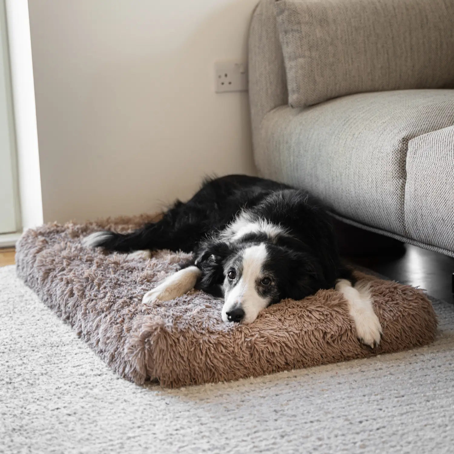MrFluffyFriend™ - Orthopedic Pillow - Image 3