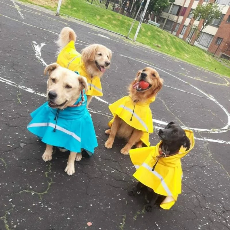 MrFluffyFriend™ - Reflective Raincoat - Image 6